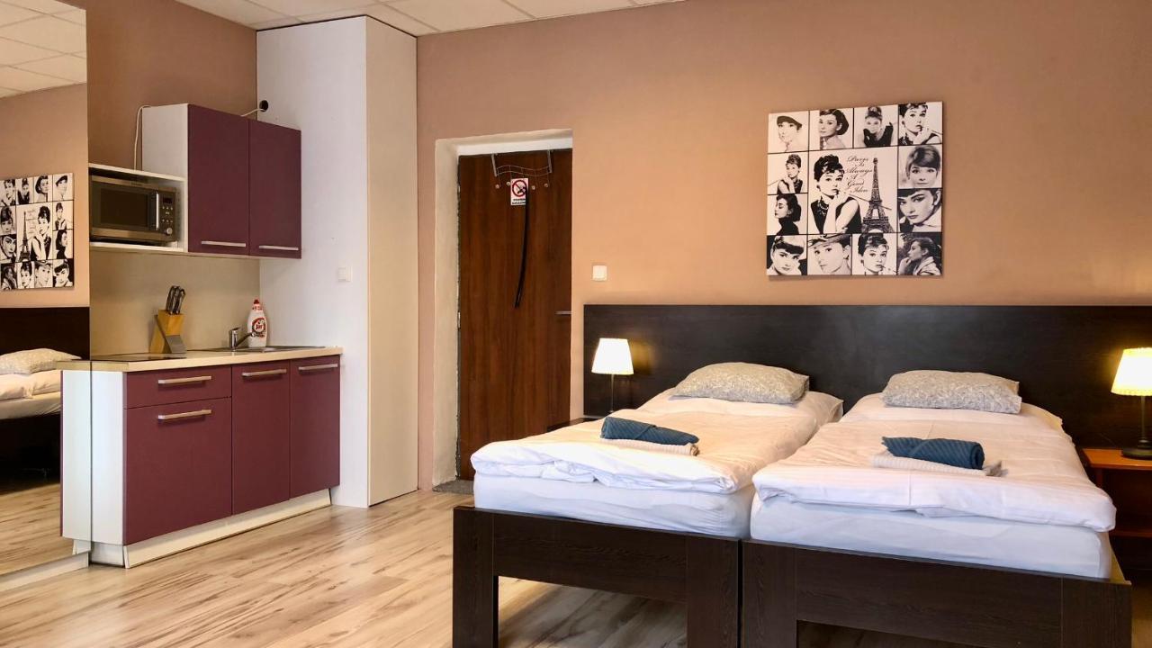 Pension Village Karlovy Vary Ngoại thất bức ảnh